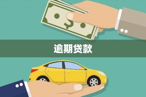 镇远逾期贷款