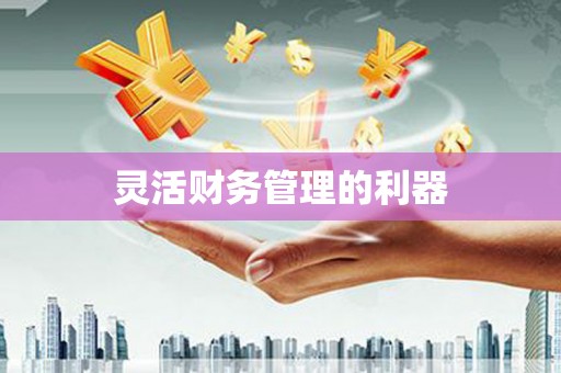 镇远灵活财务管理的利器