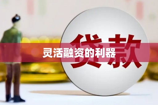 镇远灵活融资的利器