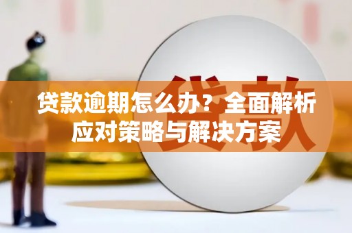 镇远贷款逾期怎么办？全面解析应对策略与解决方案