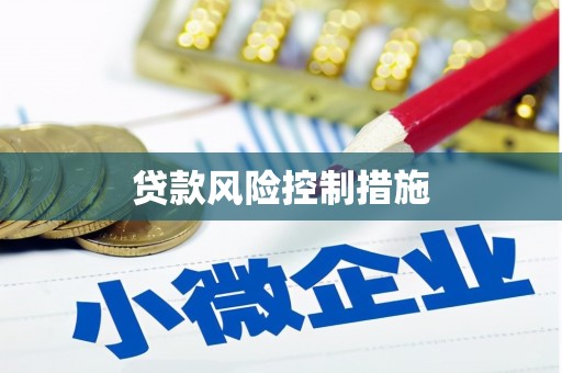 镇远贷款风险控制措施