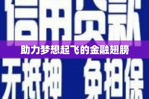 镇远助力梦想起飞的金融翅膀