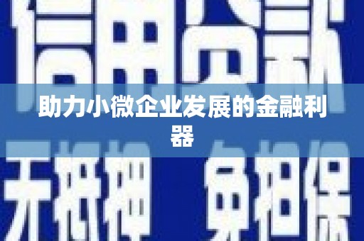 镇远助力小微企业发展的金融利器