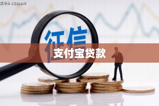 镇远支付宝贷款